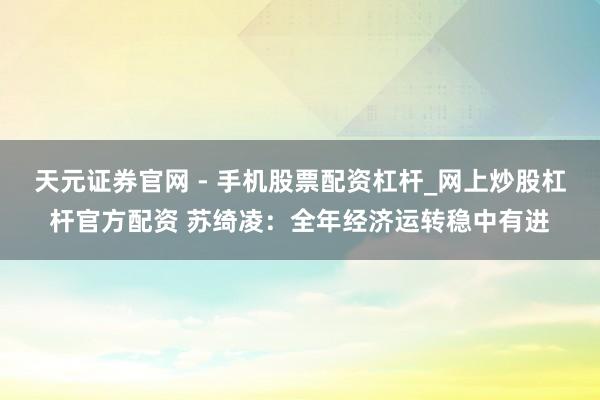 天元证券官网 - 手机股票配资杠杆_网上炒股杠杆官方配资 苏绮凌：全年经济运转稳中有进