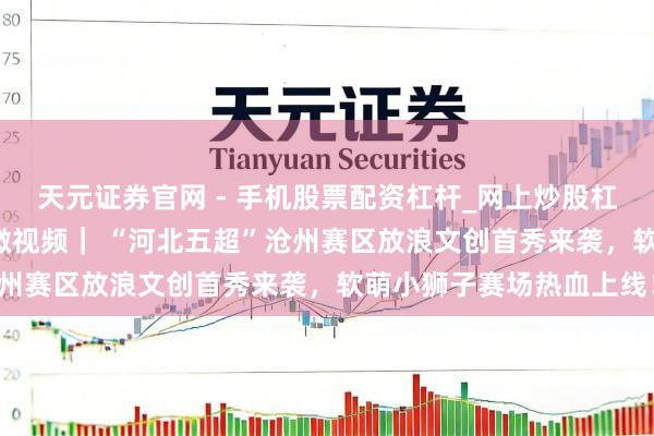 天元证券官网 - 手机股票配资杠杆_网上炒股杠杆官方配资 河北五超·微视频｜ “河北五超”沧州赛区放浪文创首秀来袭，软萌小狮子赛场热血上线！