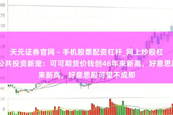 天元证券官网 - 手机股票配资杠杆_网上炒股杠杆官方配资 公共投资新宠：可可期货价钱创46年来新高，好意思股可望不成即